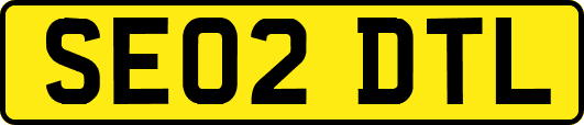 SE02DTL