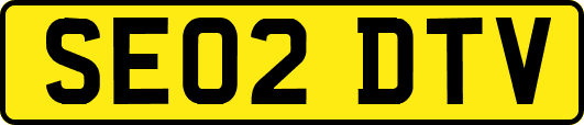 SE02DTV