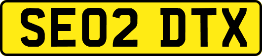 SE02DTX