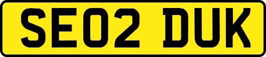 SE02DUK