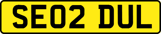 SE02DUL
