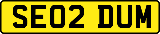 SE02DUM