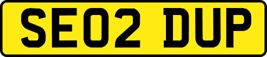 SE02DUP