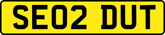 SE02DUT