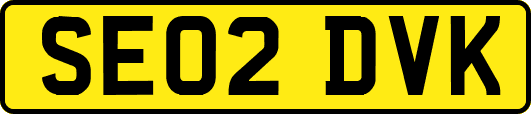 SE02DVK