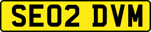 SE02DVM