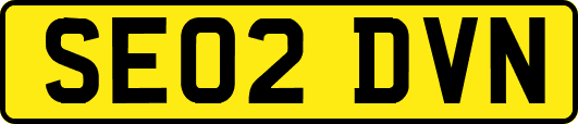 SE02DVN