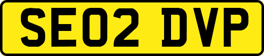SE02DVP