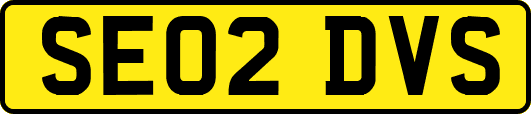 SE02DVS