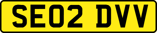 SE02DVV