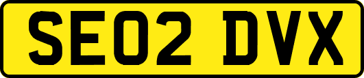 SE02DVX