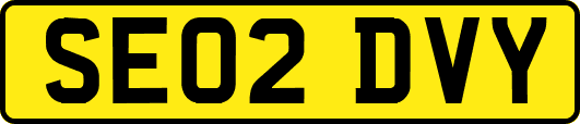 SE02DVY