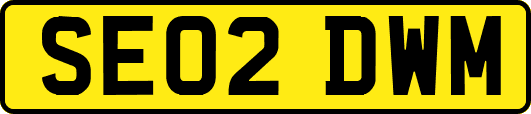 SE02DWM