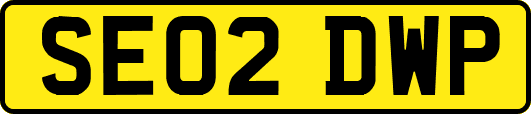 SE02DWP