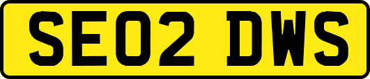 SE02DWS