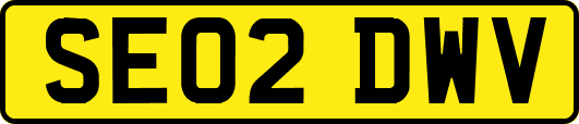 SE02DWV