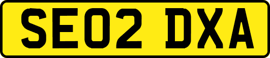 SE02DXA