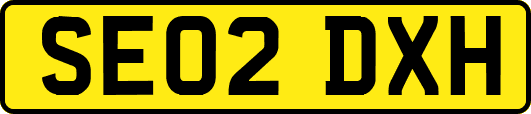 SE02DXH
