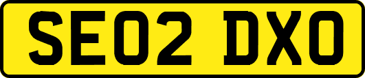 SE02DXO