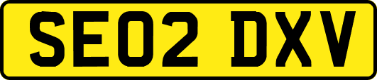 SE02DXV