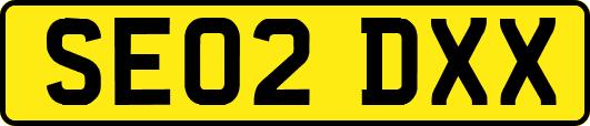SE02DXX