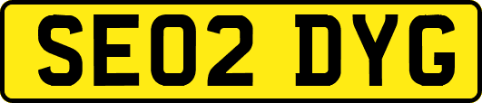 SE02DYG