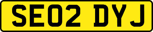 SE02DYJ