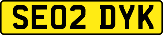 SE02DYK
