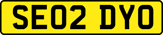 SE02DYO