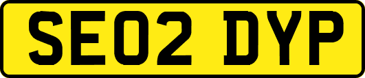 SE02DYP