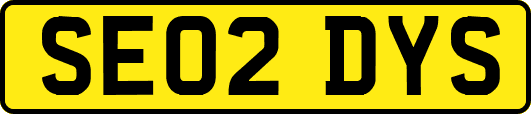 SE02DYS