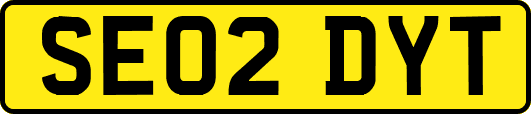SE02DYT