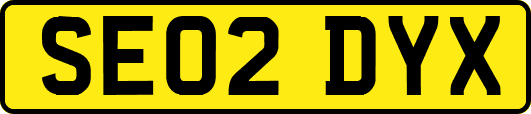 SE02DYX