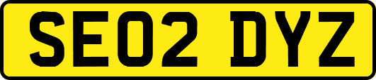 SE02DYZ