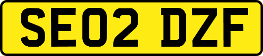SE02DZF