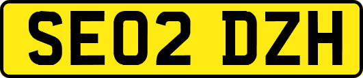 SE02DZH
