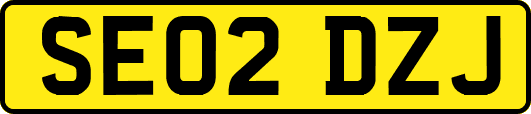 SE02DZJ