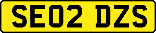 SE02DZS