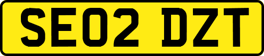 SE02DZT