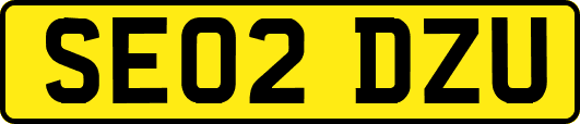 SE02DZU
