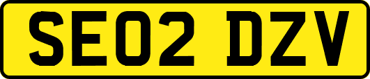 SE02DZV