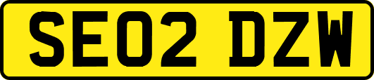 SE02DZW