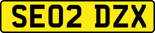 SE02DZX