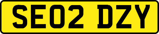 SE02DZY