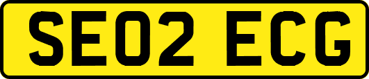 SE02ECG
