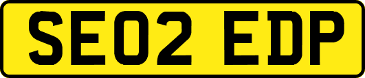 SE02EDP