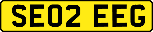 SE02EEG