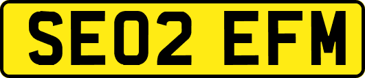 SE02EFM