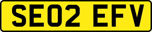 SE02EFV