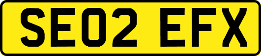 SE02EFX